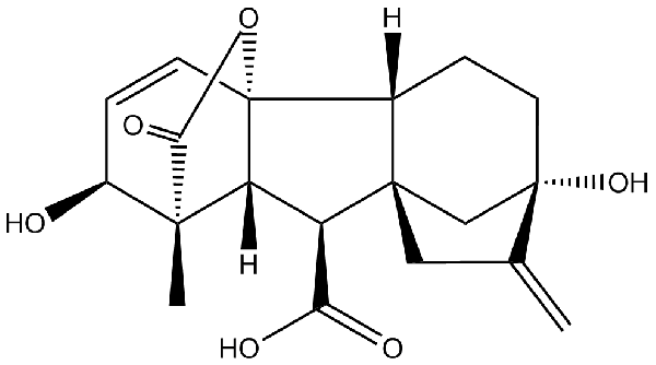 赤霉素GIBBERELLIC ACID，居然有這么神奇？